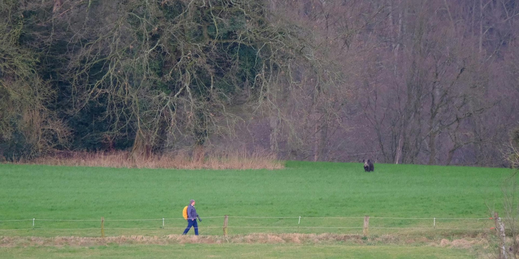 20210205-lesefoto-keiler-rrb_(1)