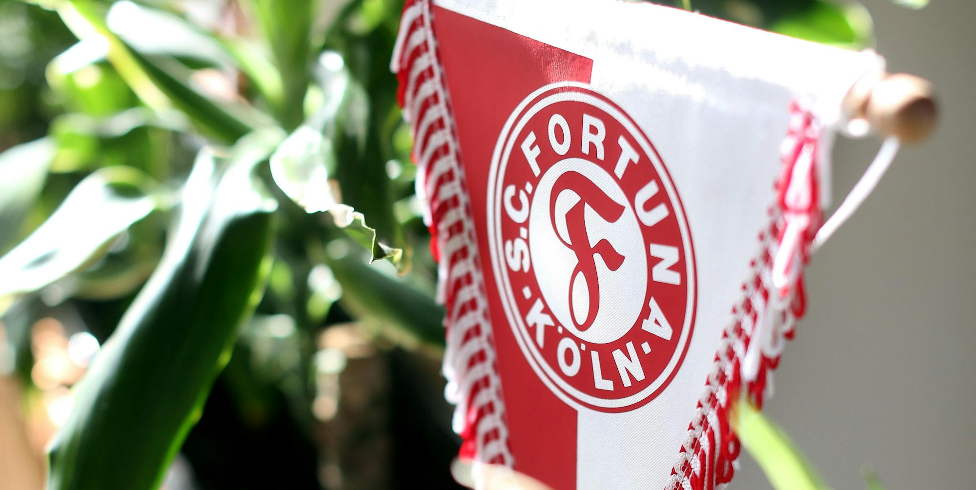 Fortuna Köln Wimpel