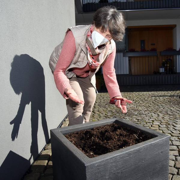 ds_Blumenkuebel_Blumenklau_Irmgard Beier_Wipp_Hausmannsplatz_Seniorenwohnungen1