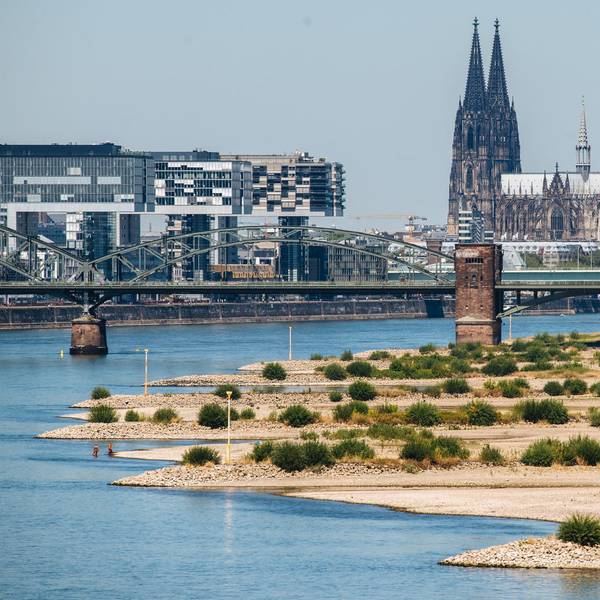 trockener Rhein