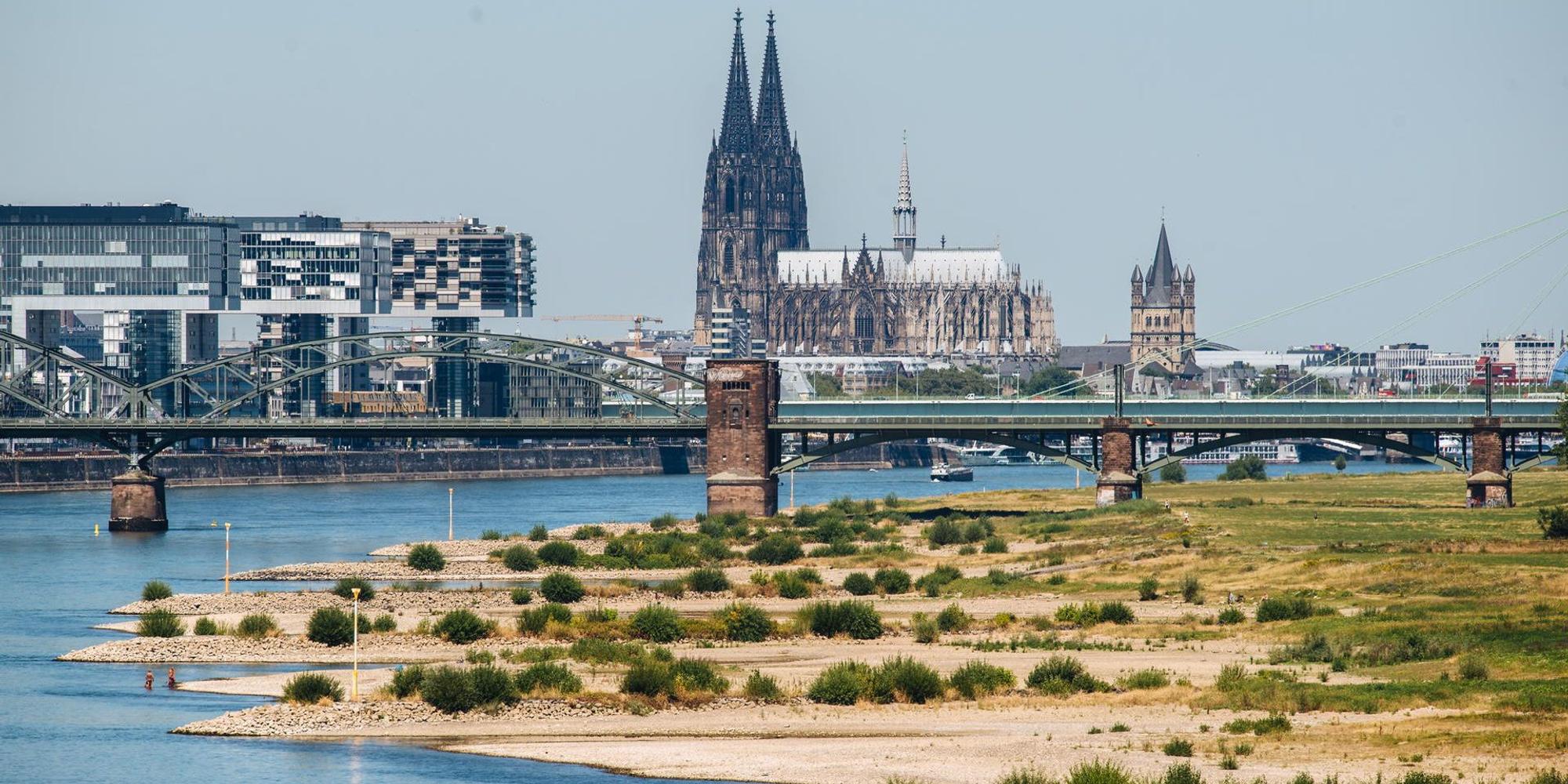 trockener Rhein