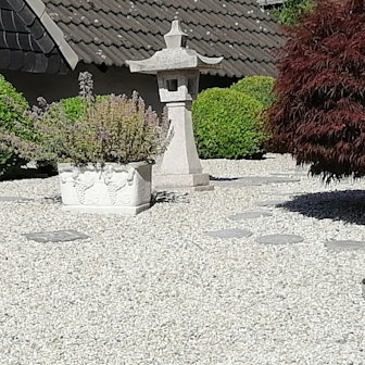 20220728_dbo_Steingarten 2