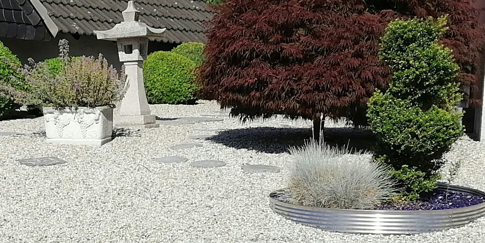 20220728_dbo_Steingarten 2