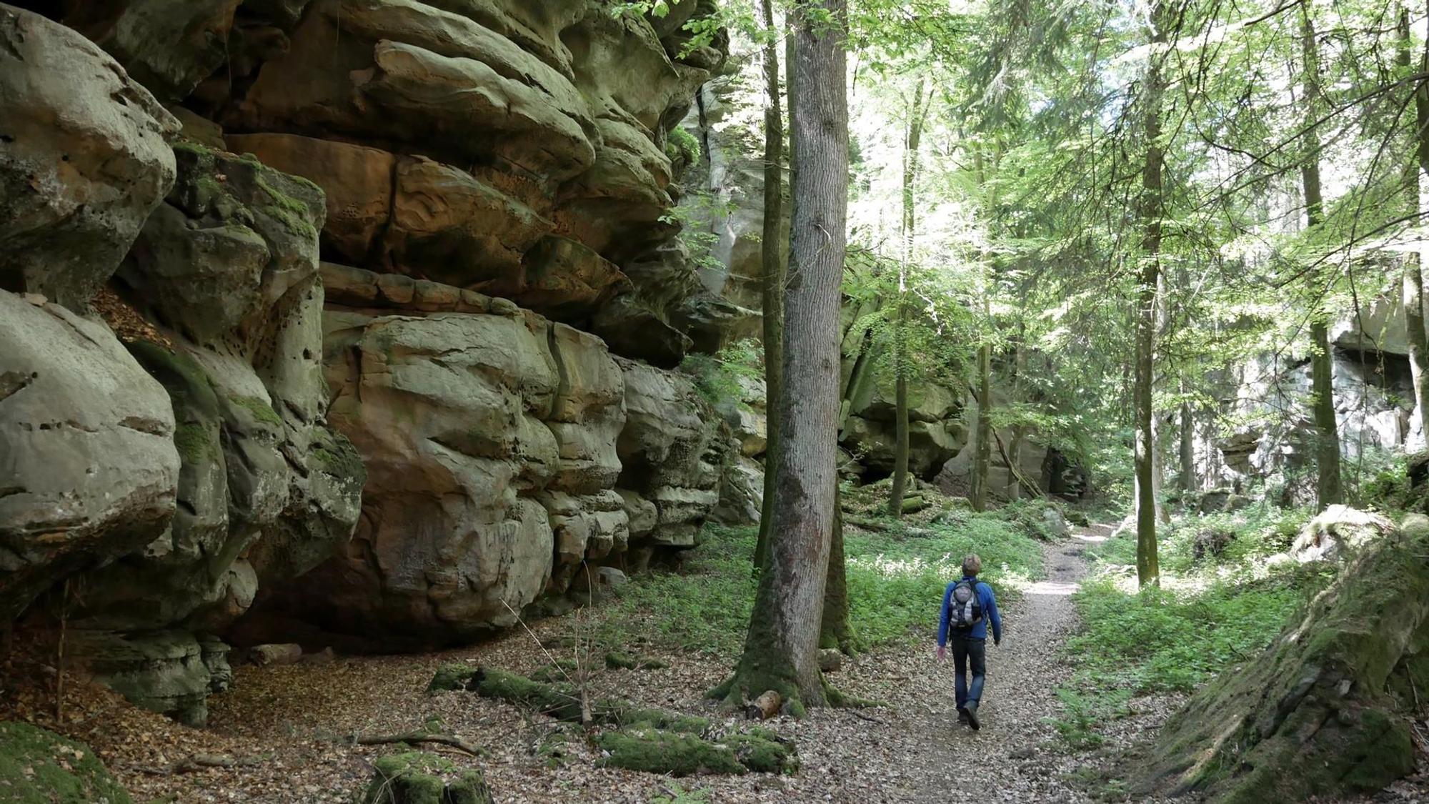 Viel Grün und Geschichten in der grünen Hölle.