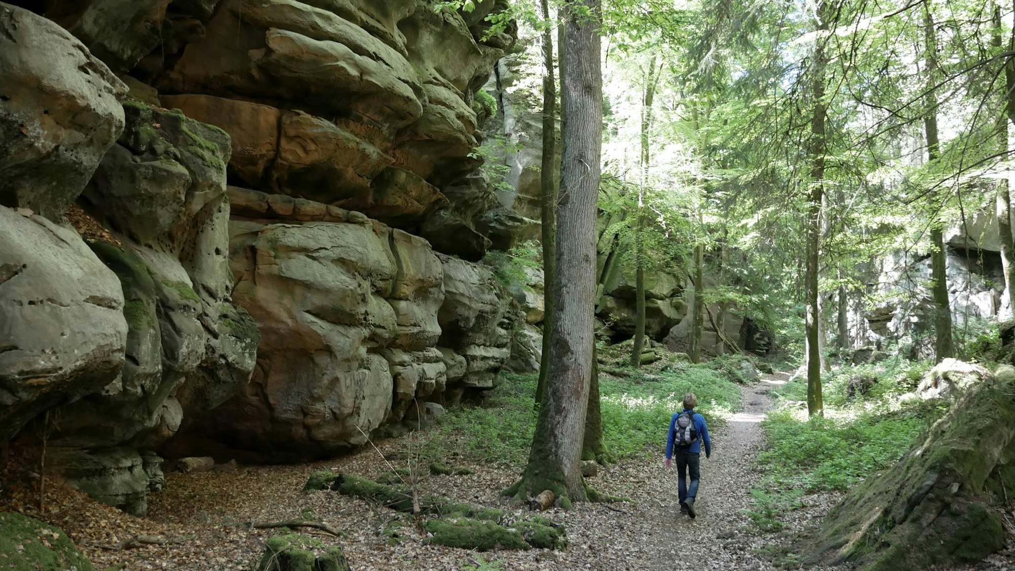 Viel Grün und Geschichten in der grünen Hölle.