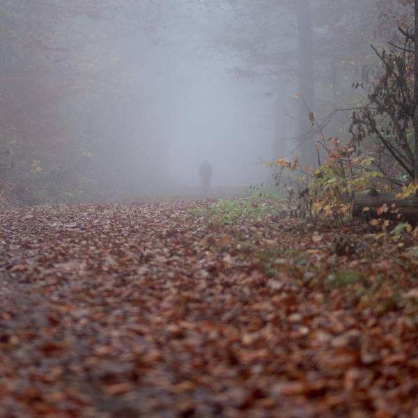 Waldweg