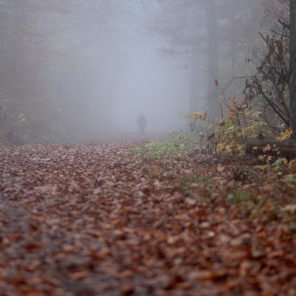 Waldweg