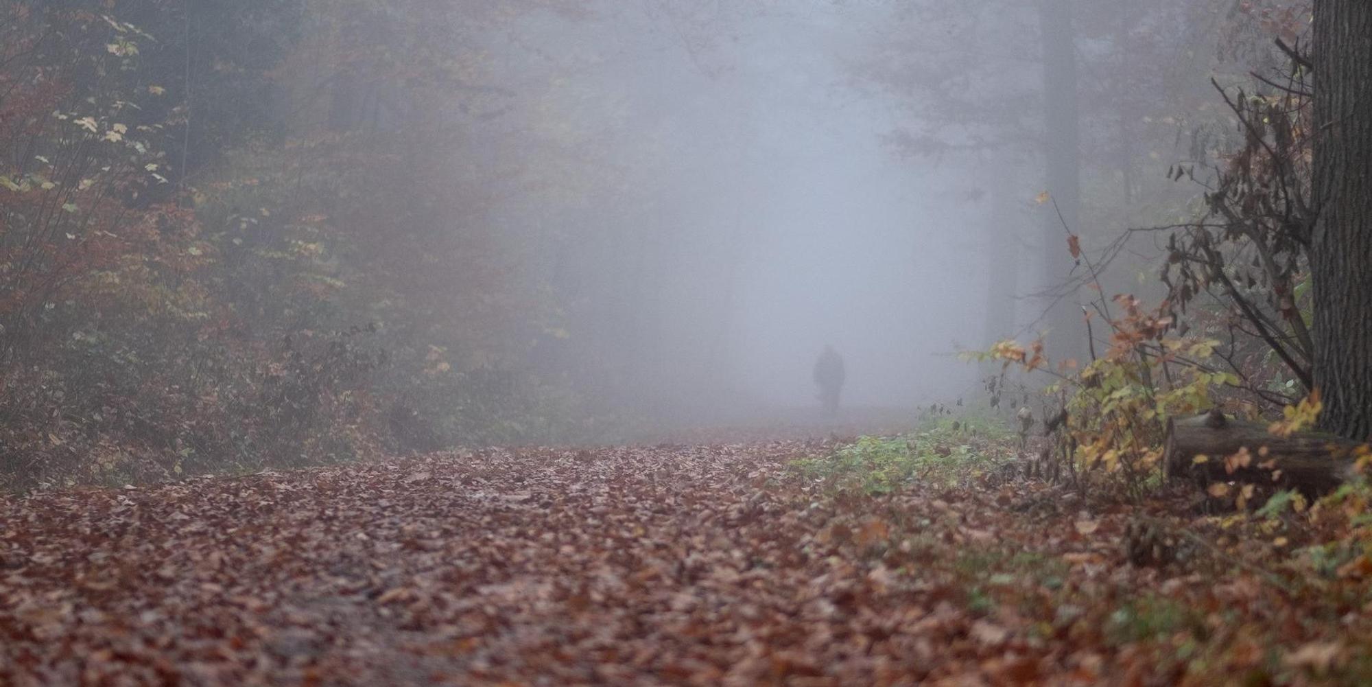 Waldweg