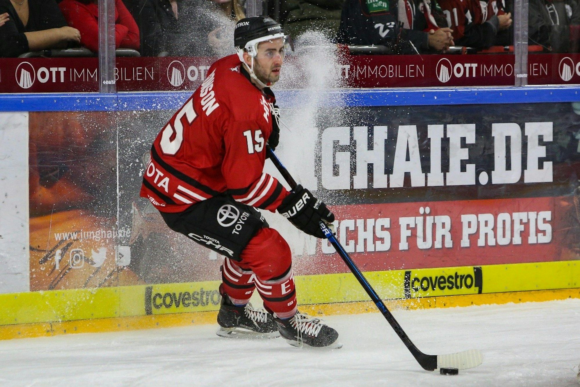 DEL Haie