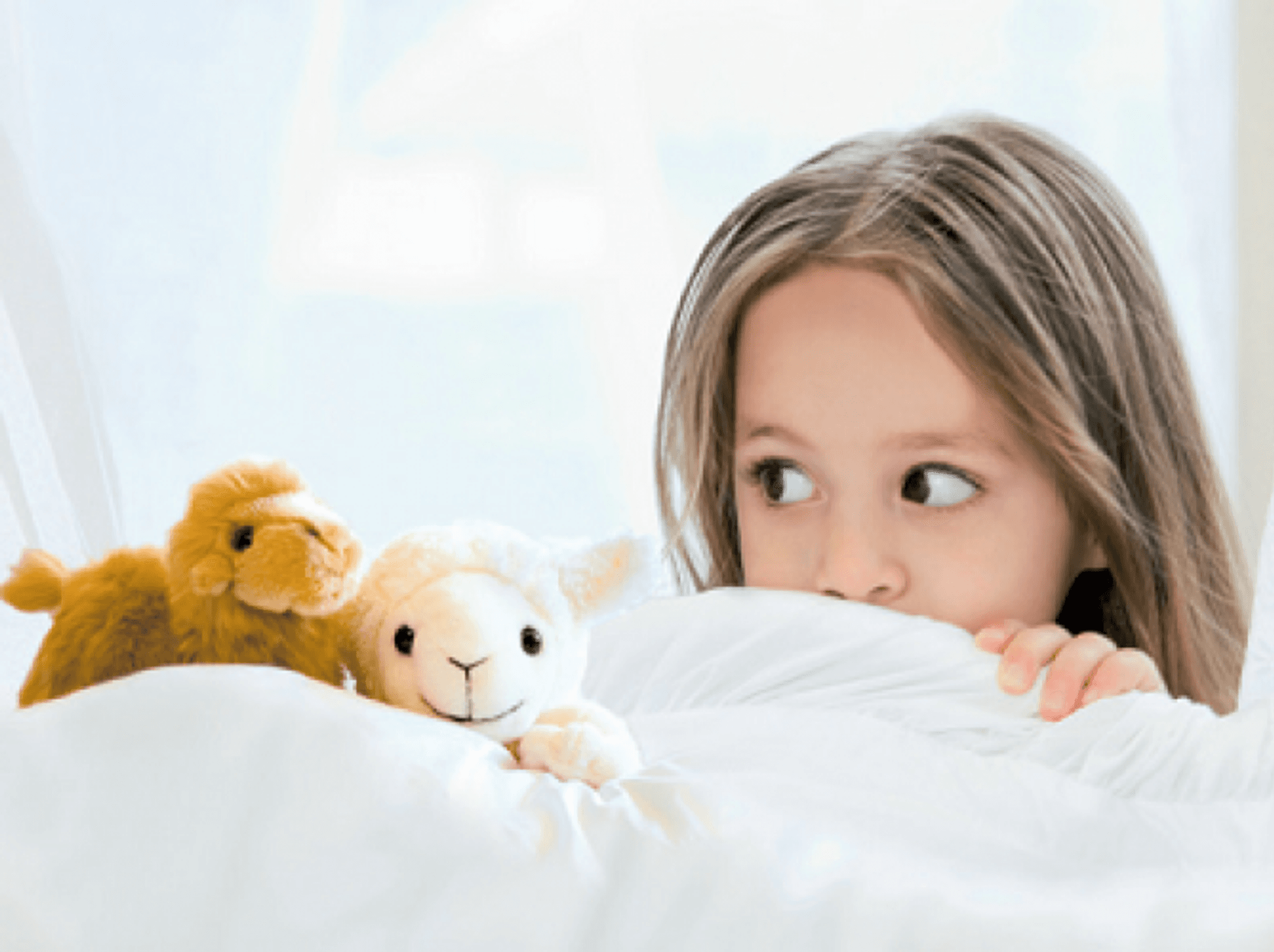 kinderkissen_ii