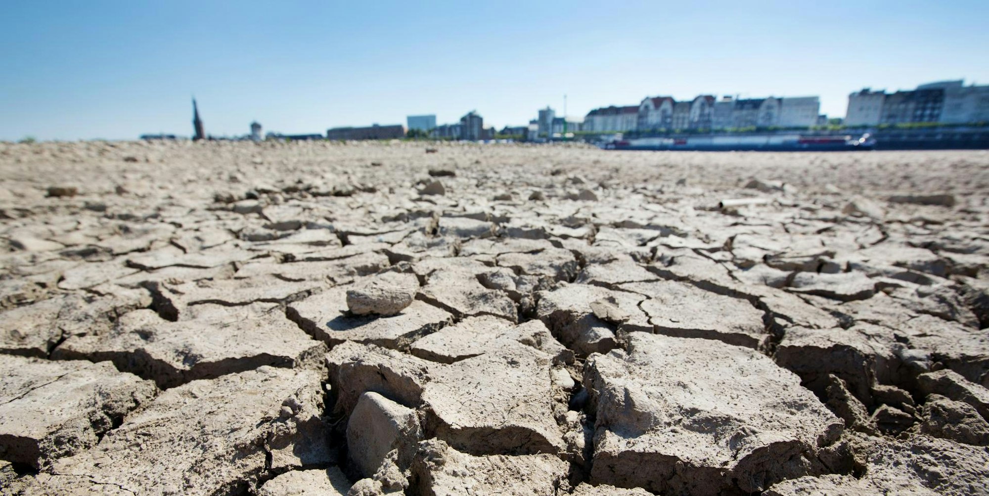 Dürre NRW