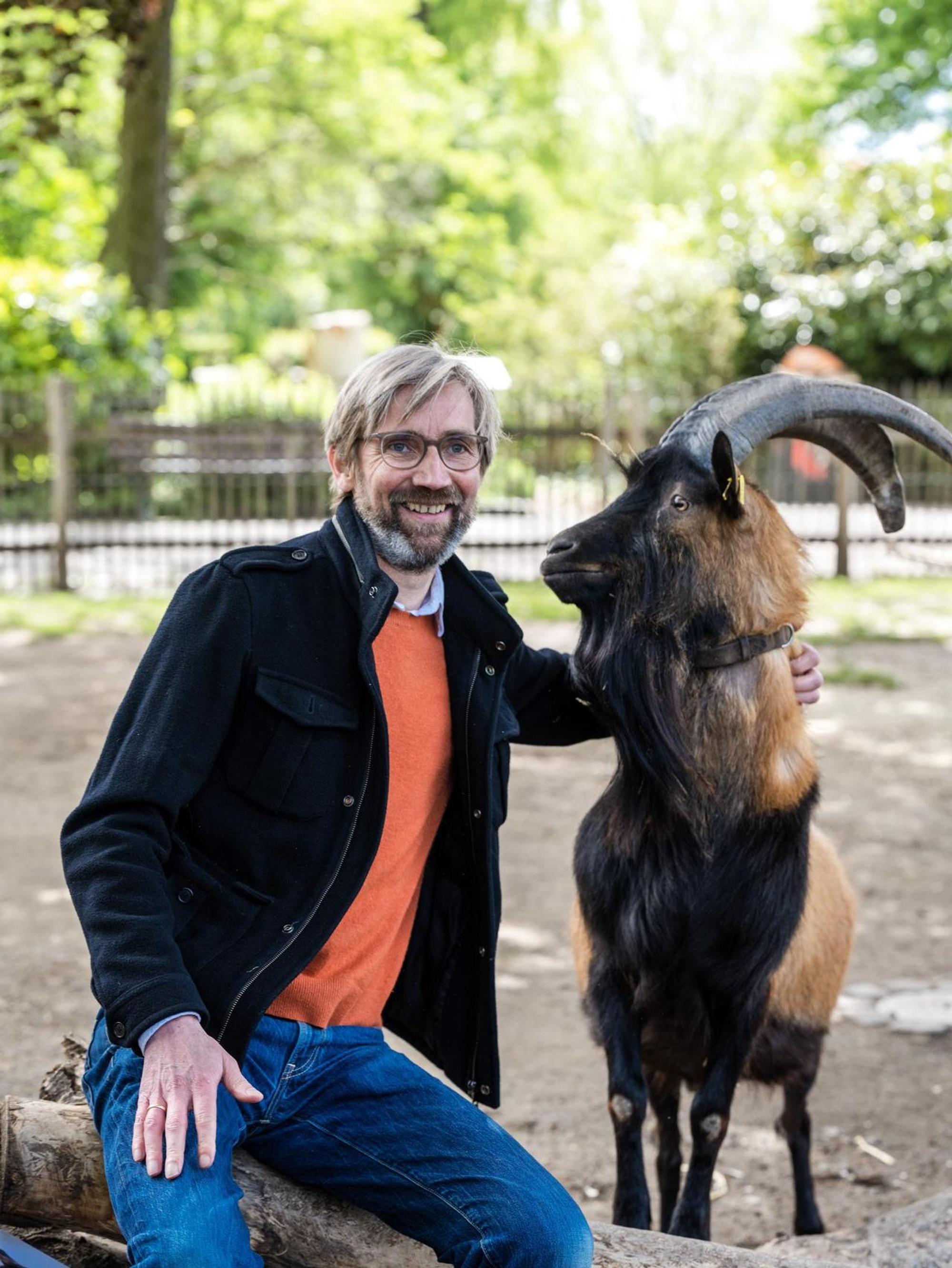 Hennes mit Autor