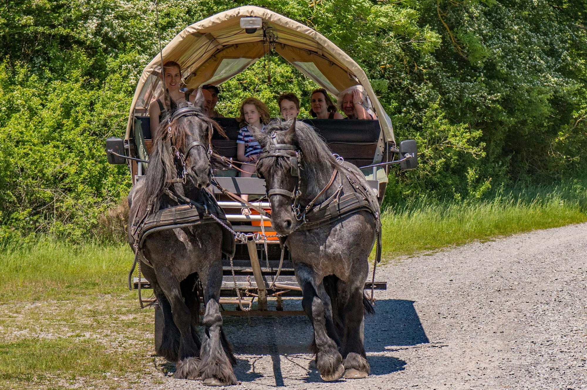 PlanwagenKinder2_kom