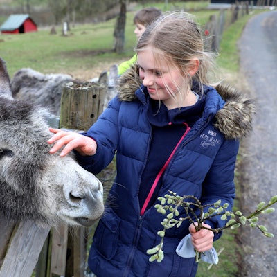 Header_GL_Raetseltour_Herrenstrunden_0290