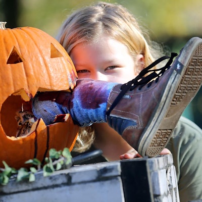 Halloween Kürbis Kind dpa