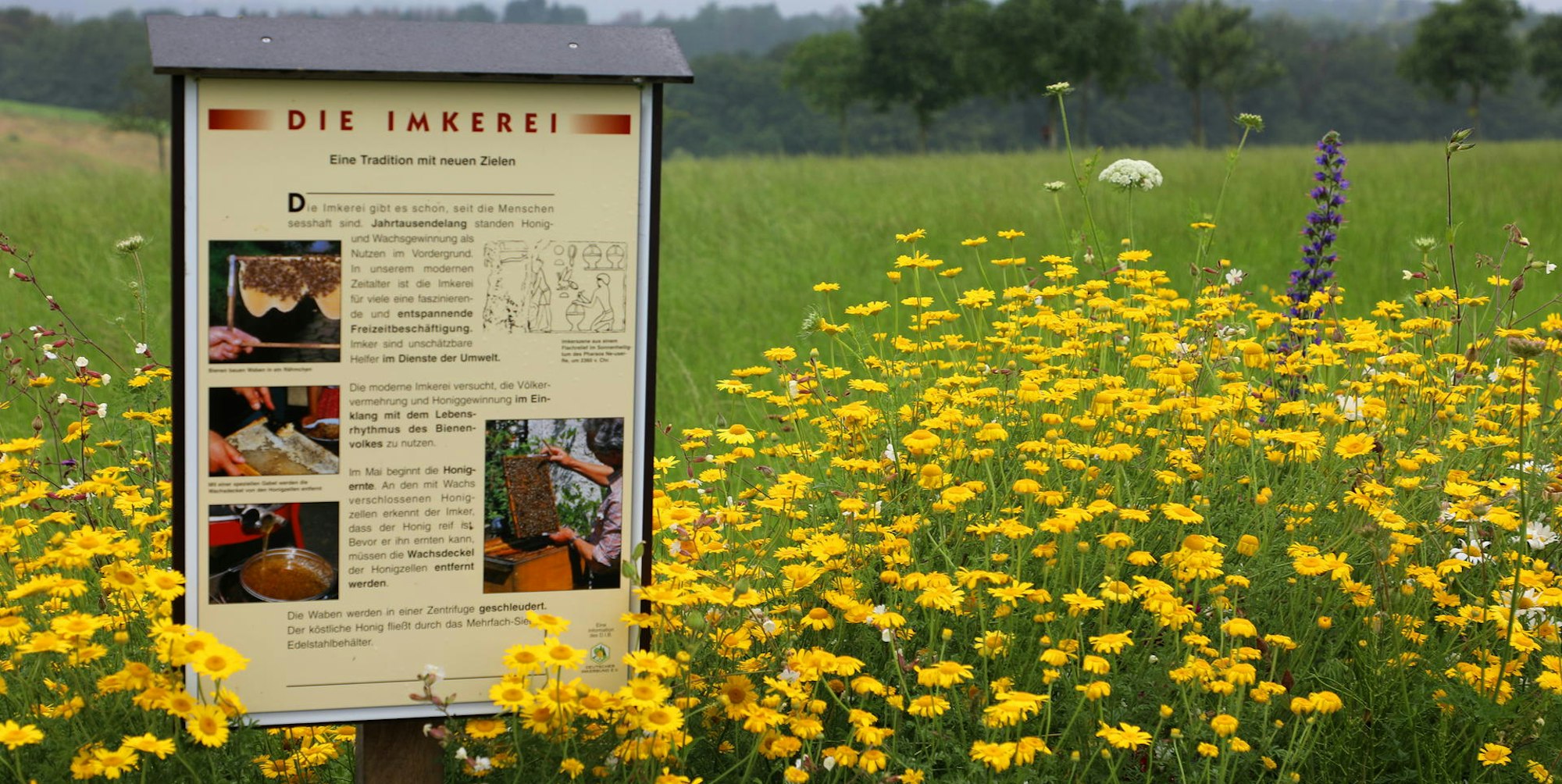 04_Sommertour_Weiden-Altenberg_8688