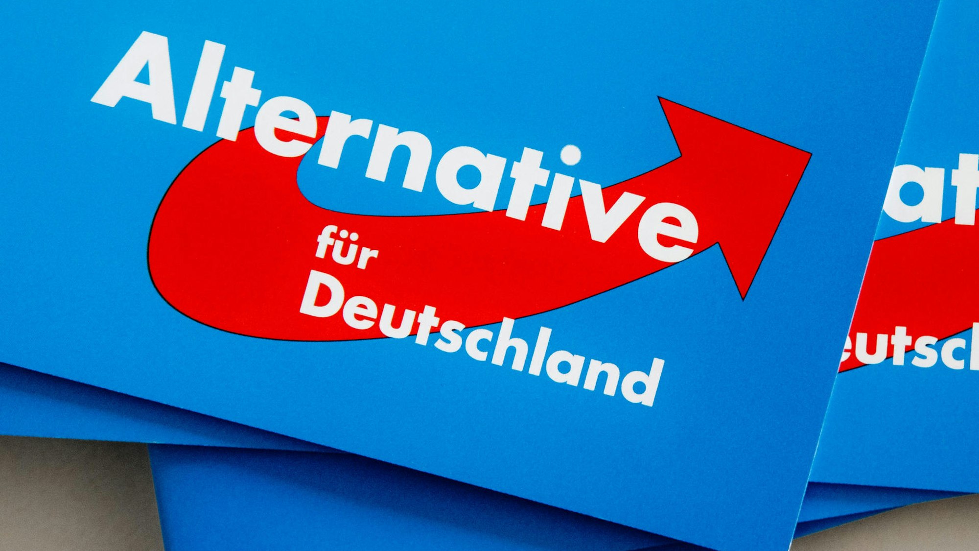 Das Logo der AfD