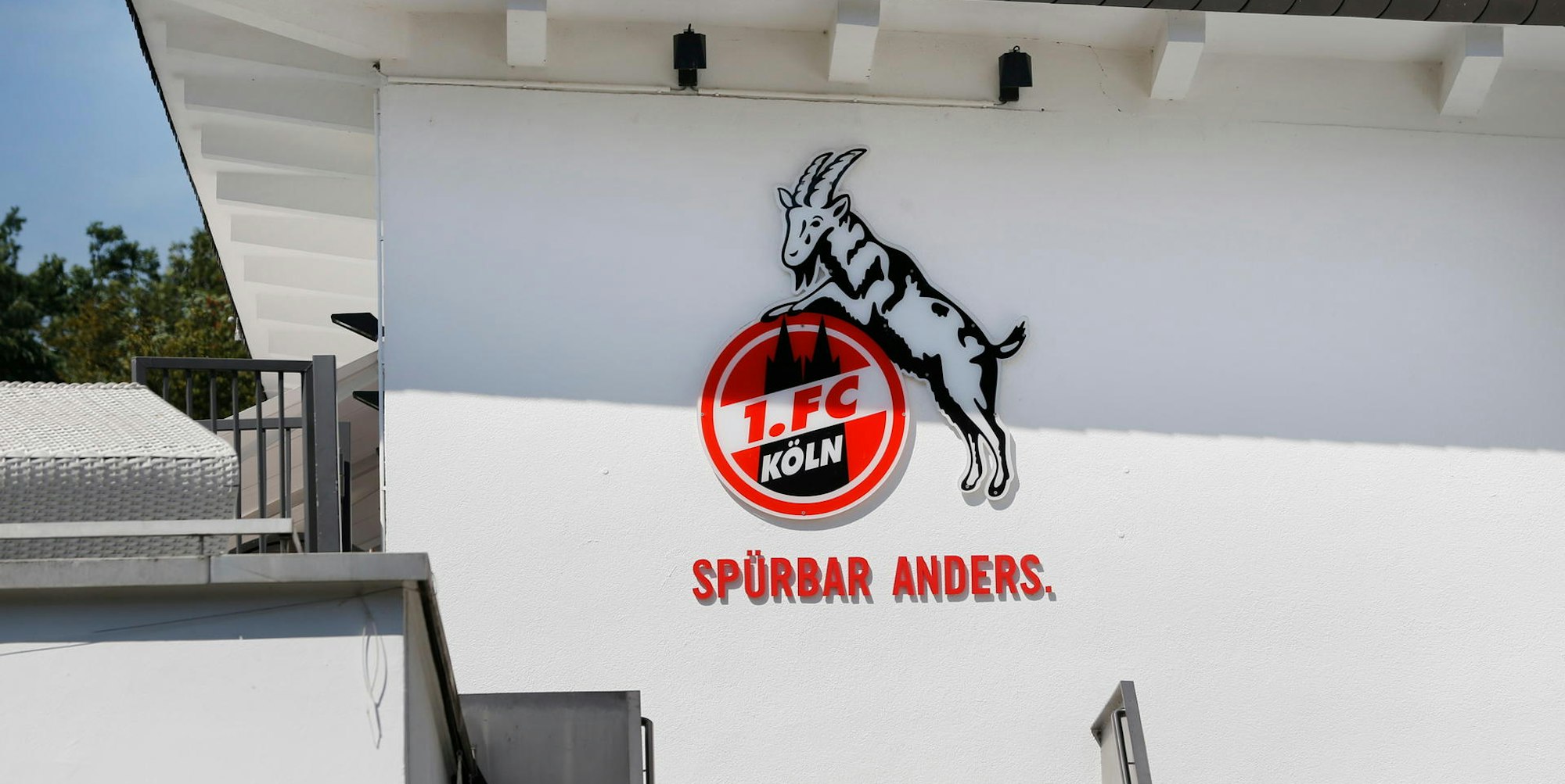 20190823_tb_Geissbockheim_013