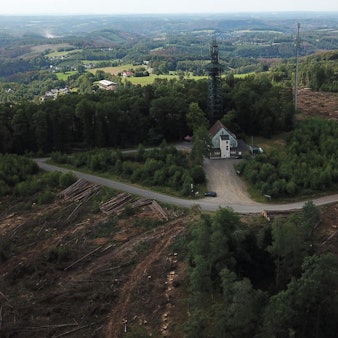 Unnenberg-Borkenkaefer_ag003