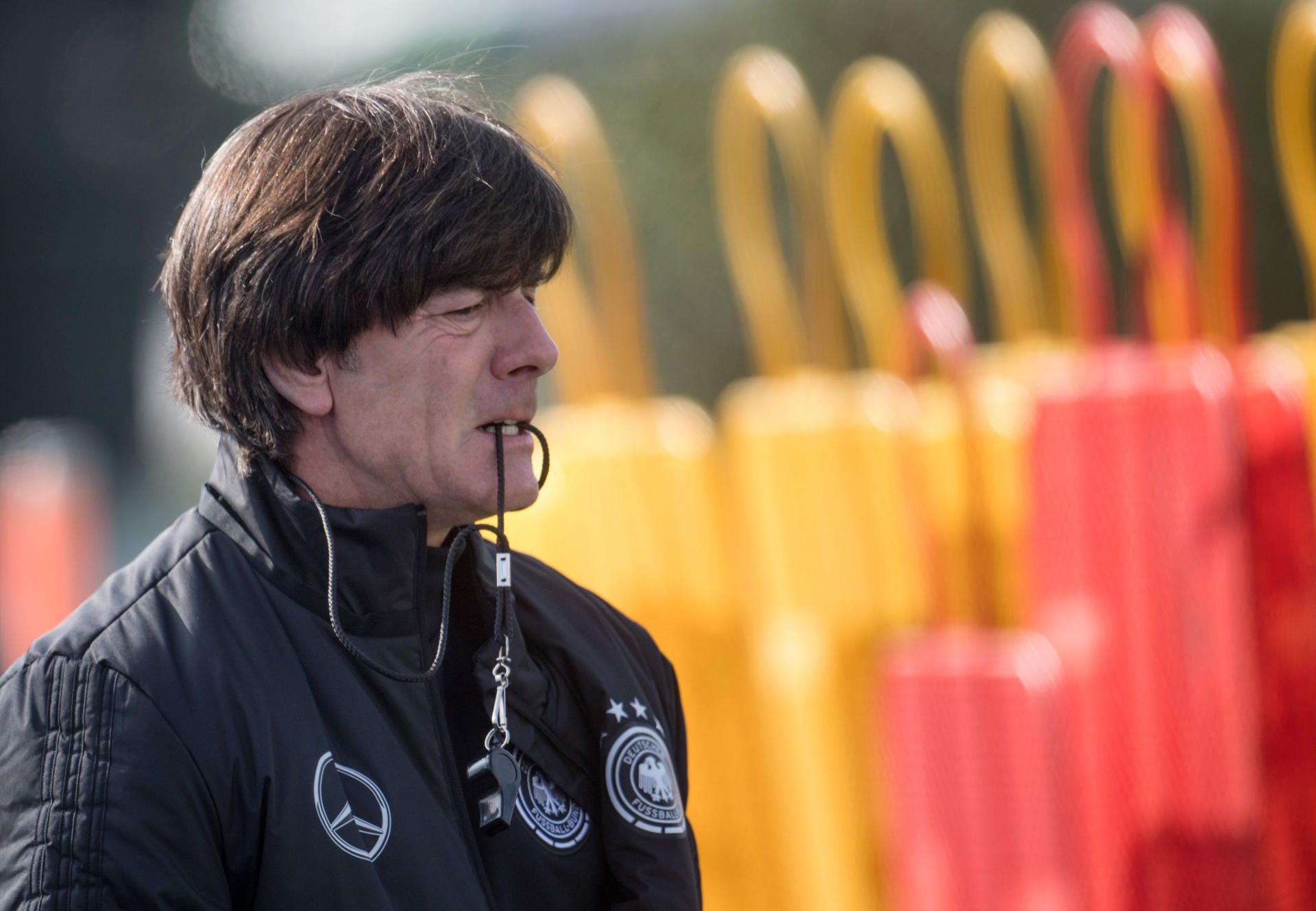 PIC loew neu neu