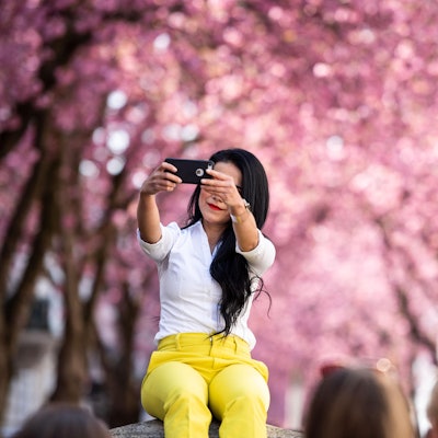 Kirschblüte Bonn Selfie dpa