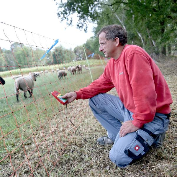Neuer Inhalt