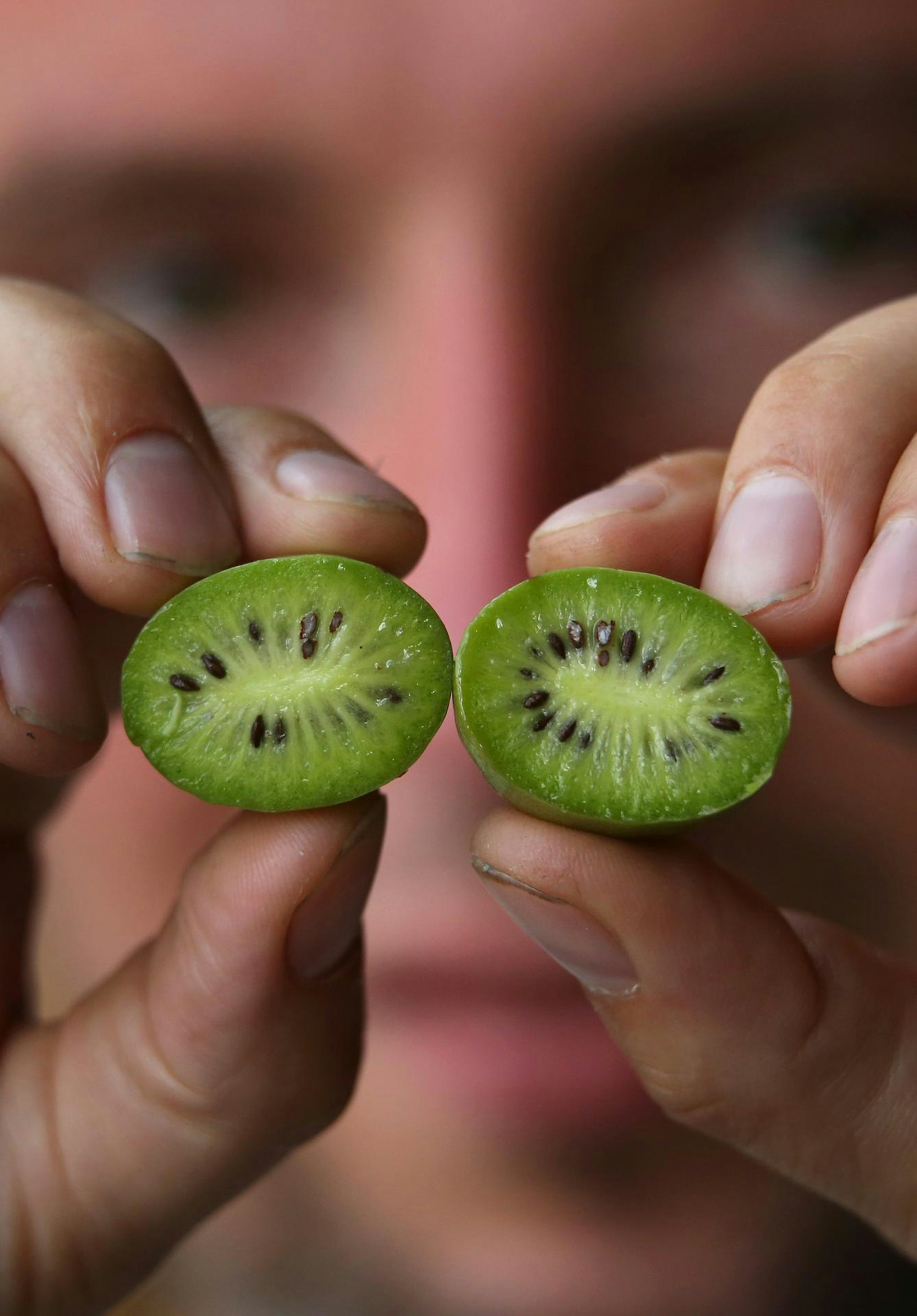 mini kiwi in hand
