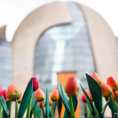 20220608_tb_DITIB_Moschee_001