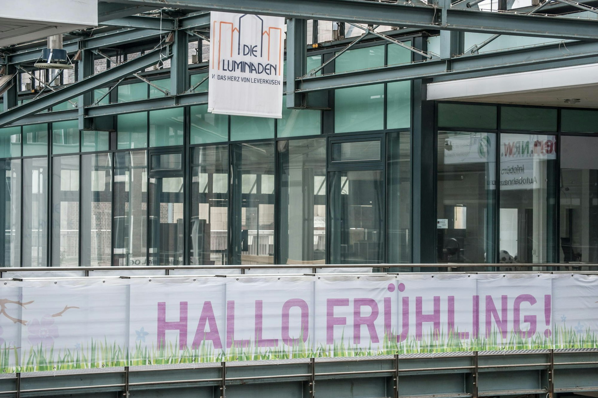 leverkusen-luminadenalf_6421
