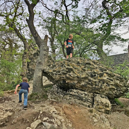 Die Tomburg-Ruine von vorne.