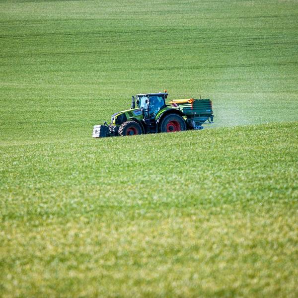 Landwirtschaft