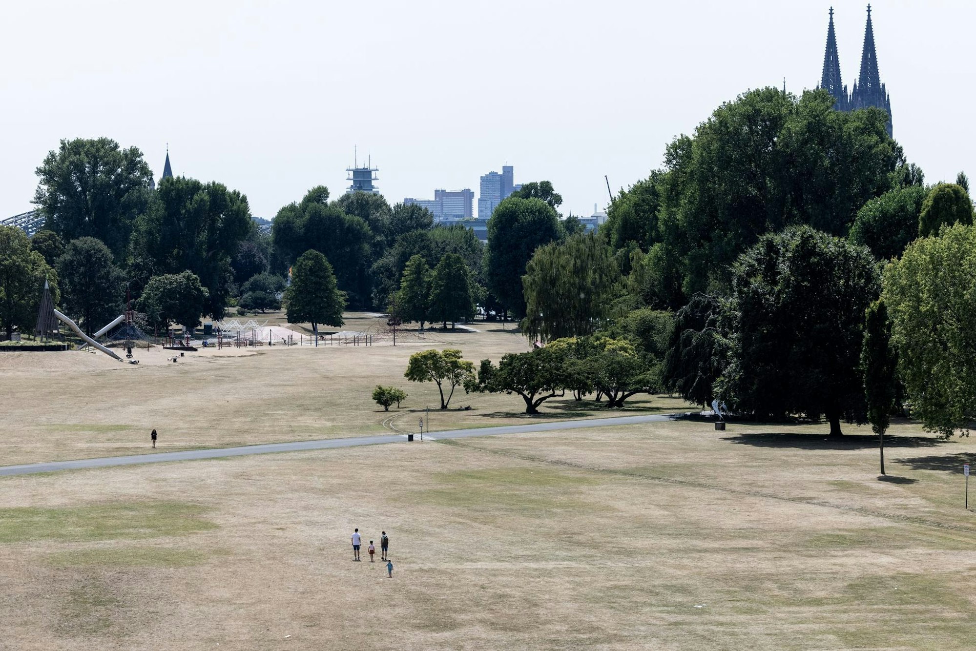 Blick auf den vertrockneten Rheinpark