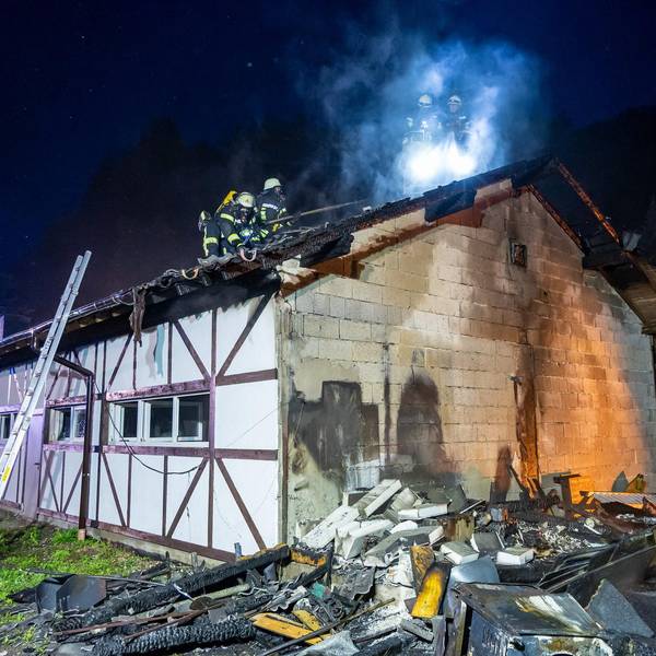 2020_06_18_Engelsk_Feuerteufel_10
