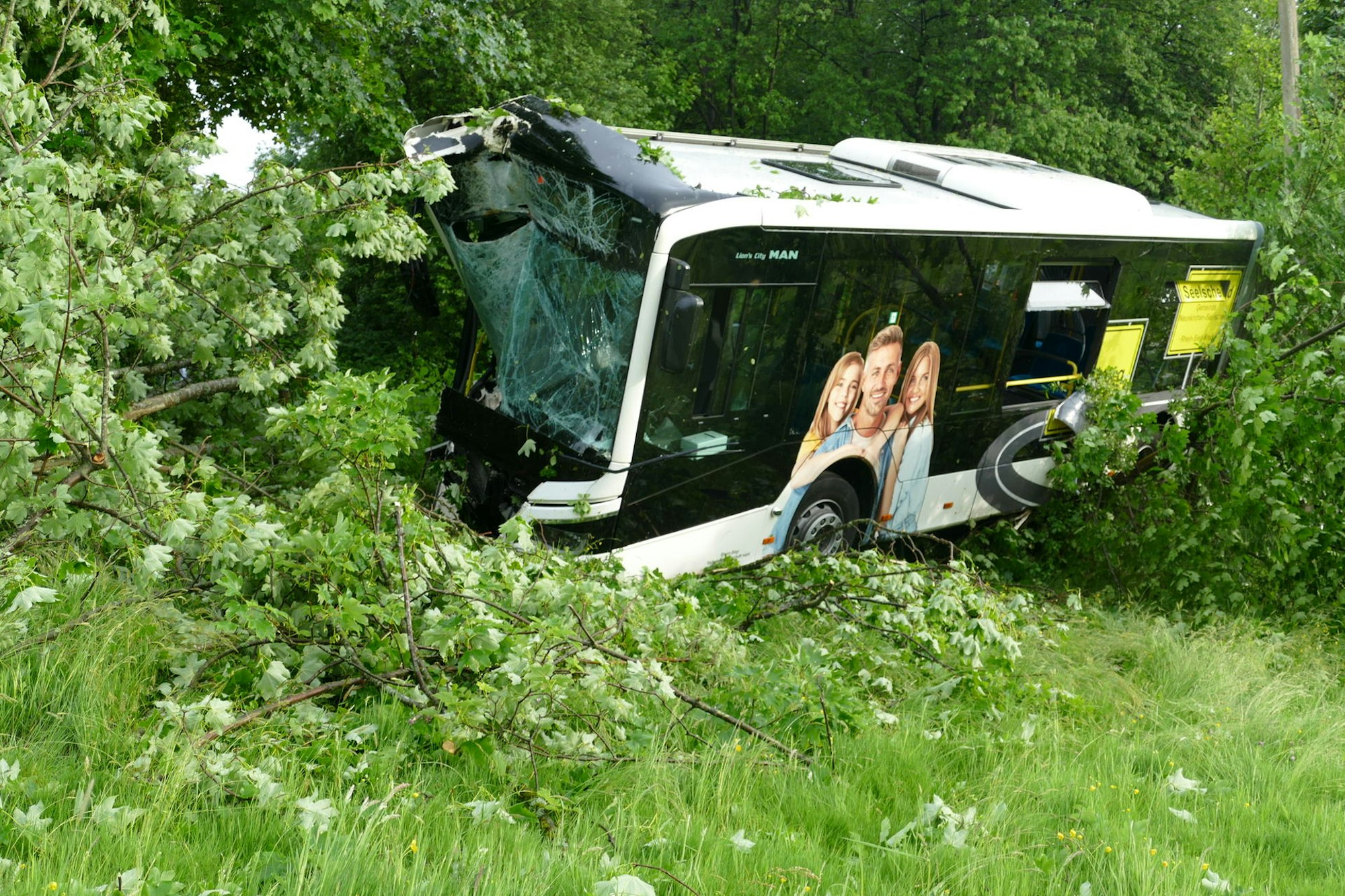 Busunfall_Much3_1