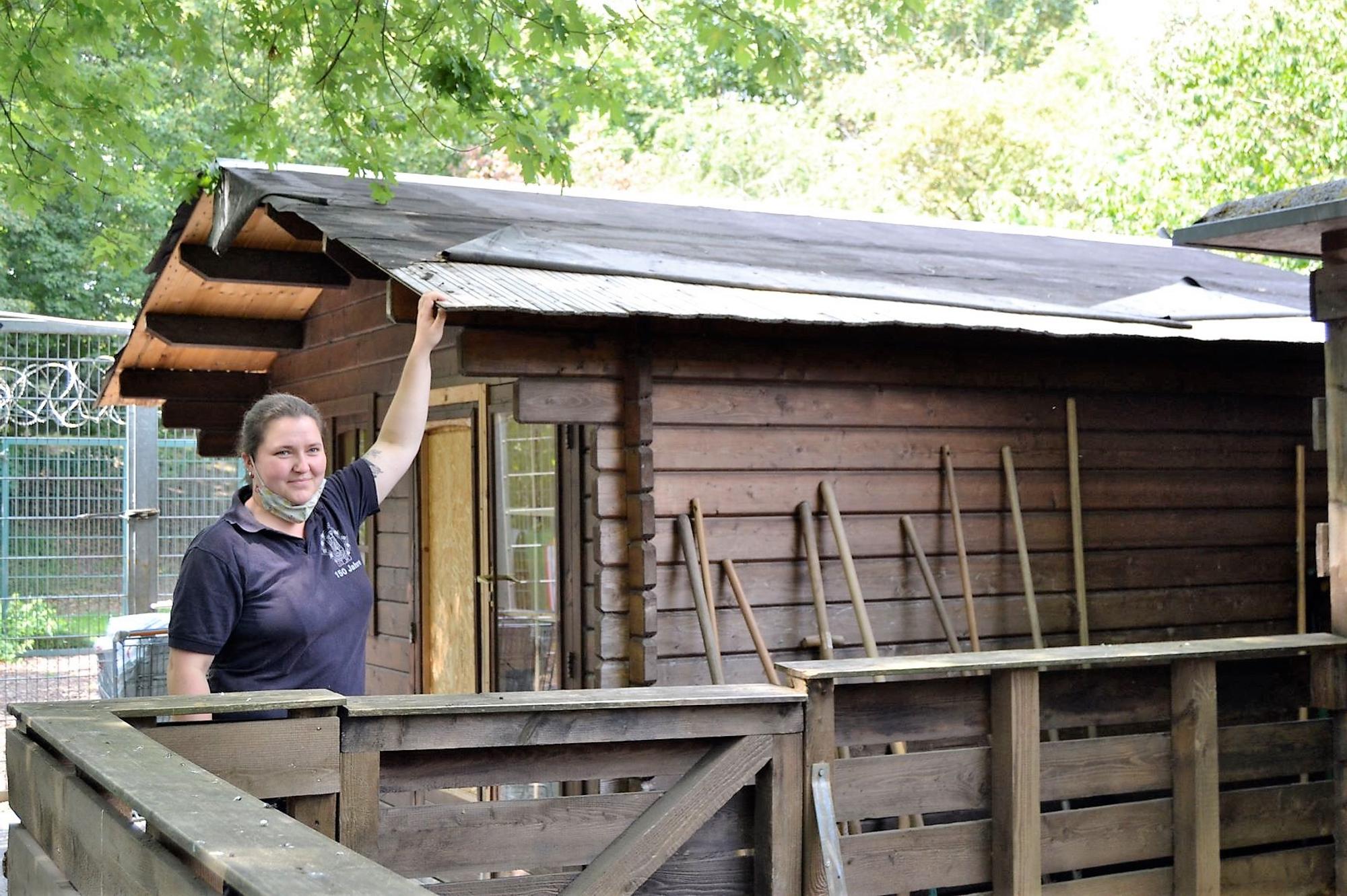 Zollstock_Tierheim_6