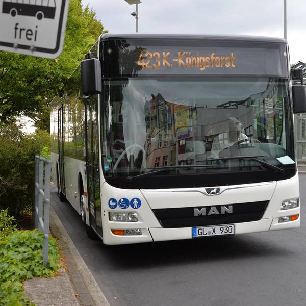 Buslinie423