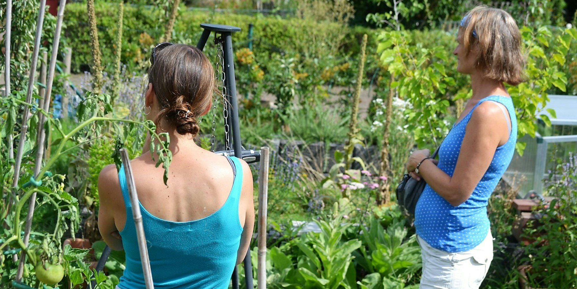 Zollstock_Oekogarten_2