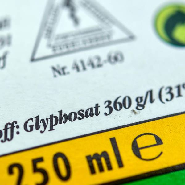 Glyphosat 070319
