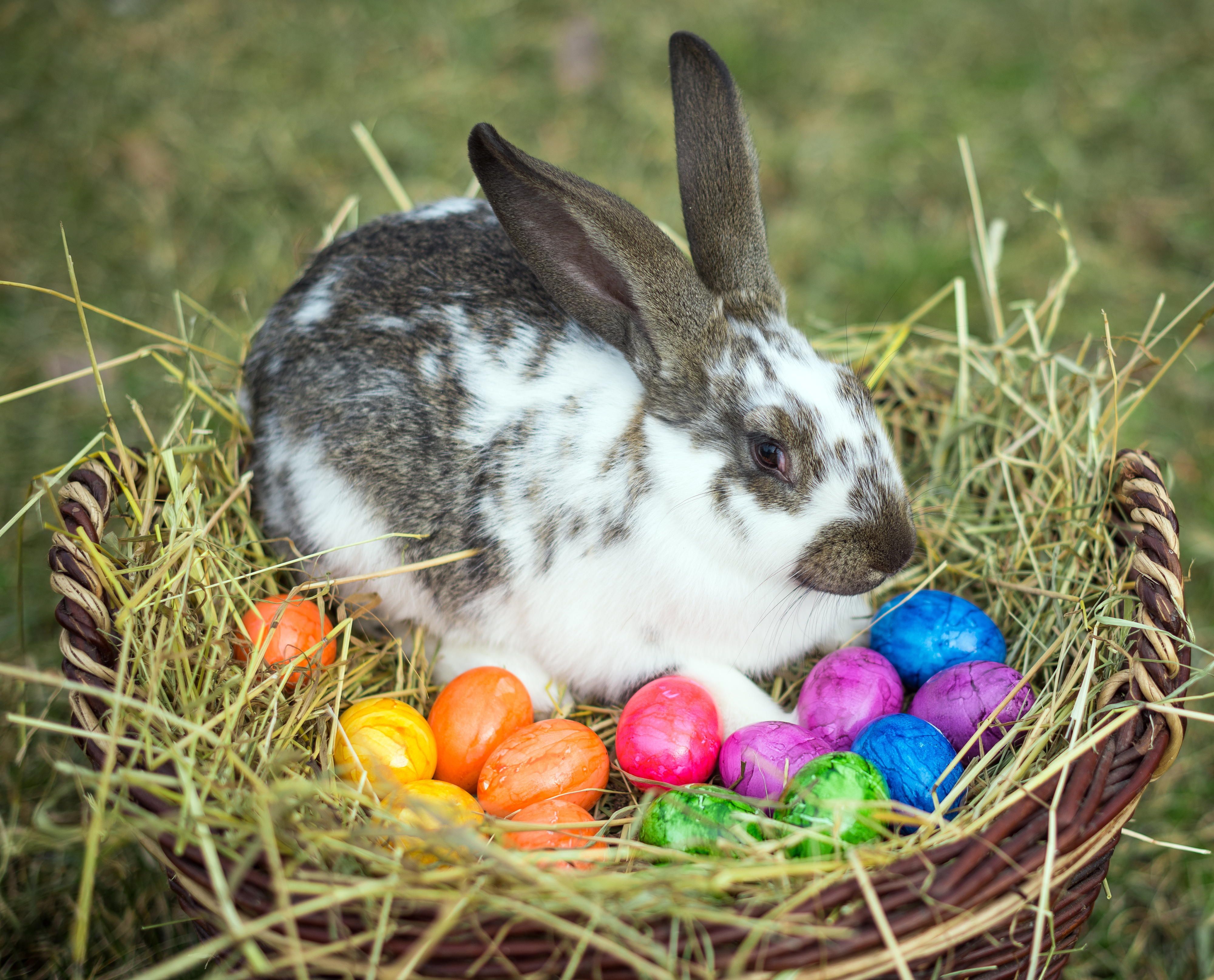 Ostern