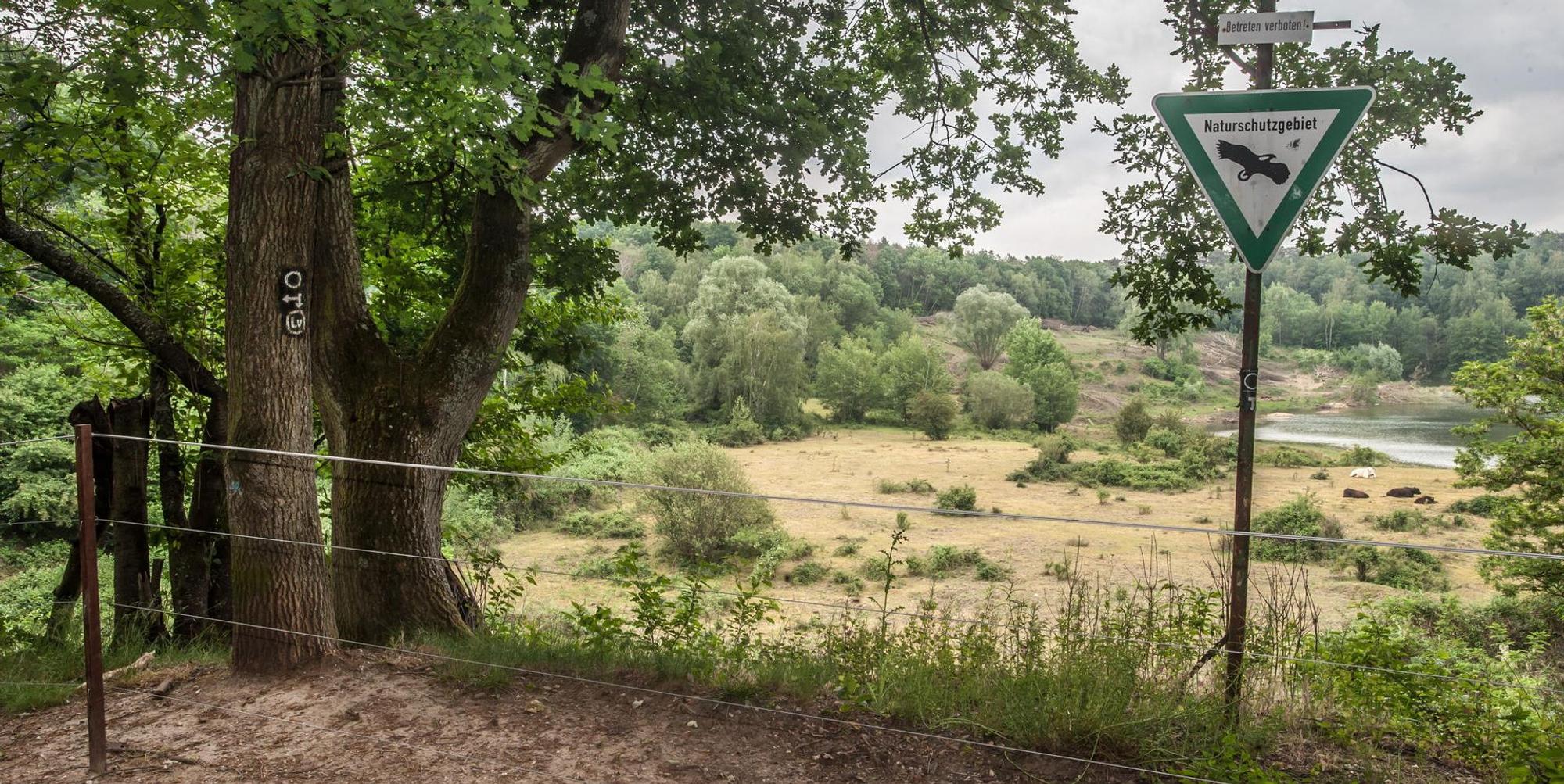 leverkusen-hornpottweg-naturschutzgebiet-ALF_2578