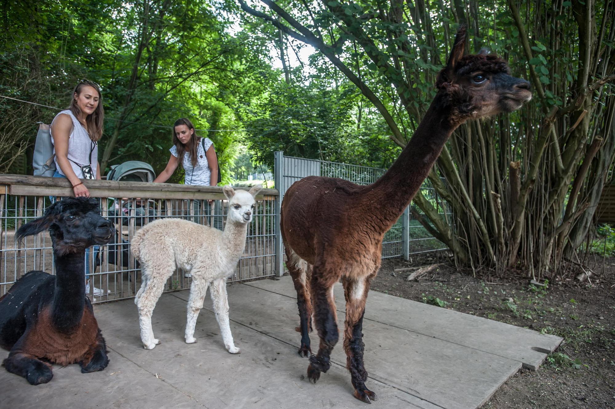 wildpark_RLE_Leverkusen08122021ALF_7399