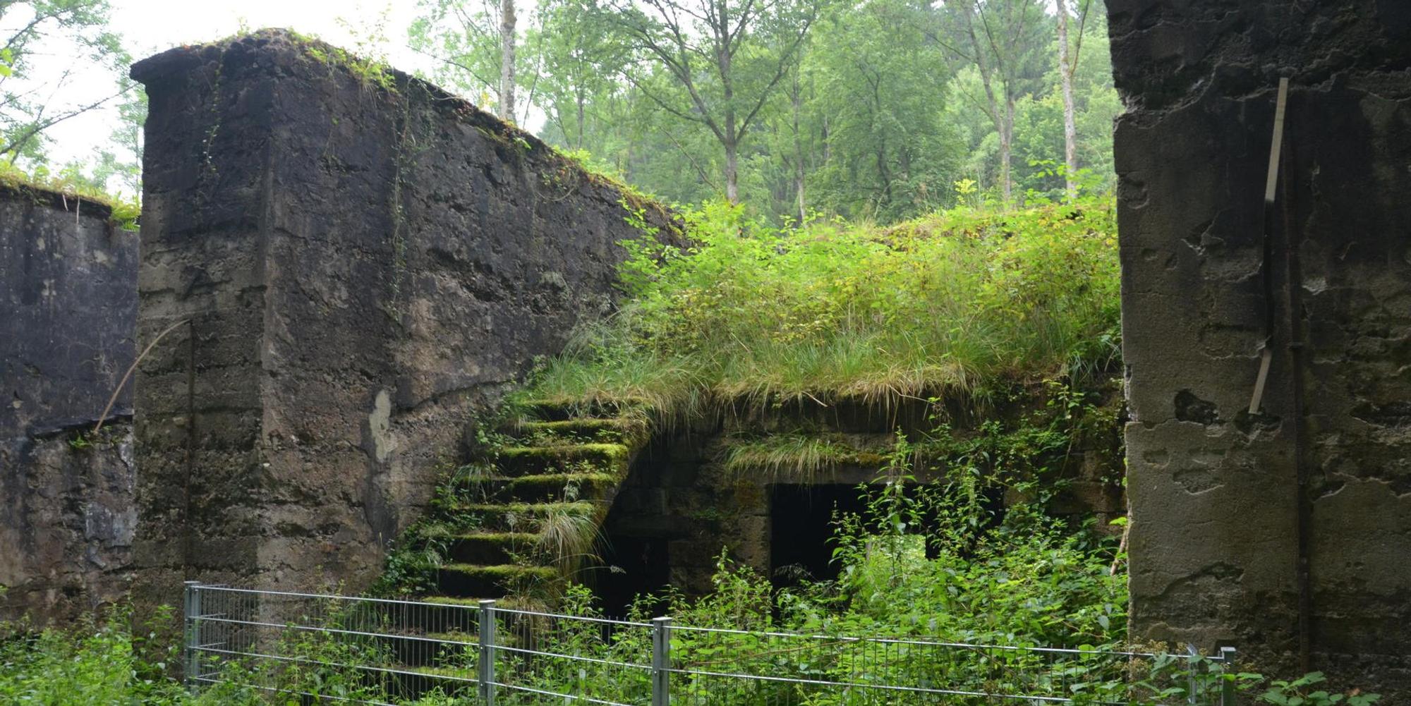 Ruinen zeugen von der einstigen Pulvermühle bei Dattenfeld.