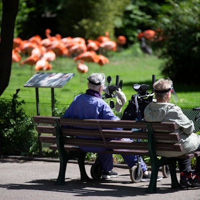 20200505_tb_Koelner_Zoo_Corona_011