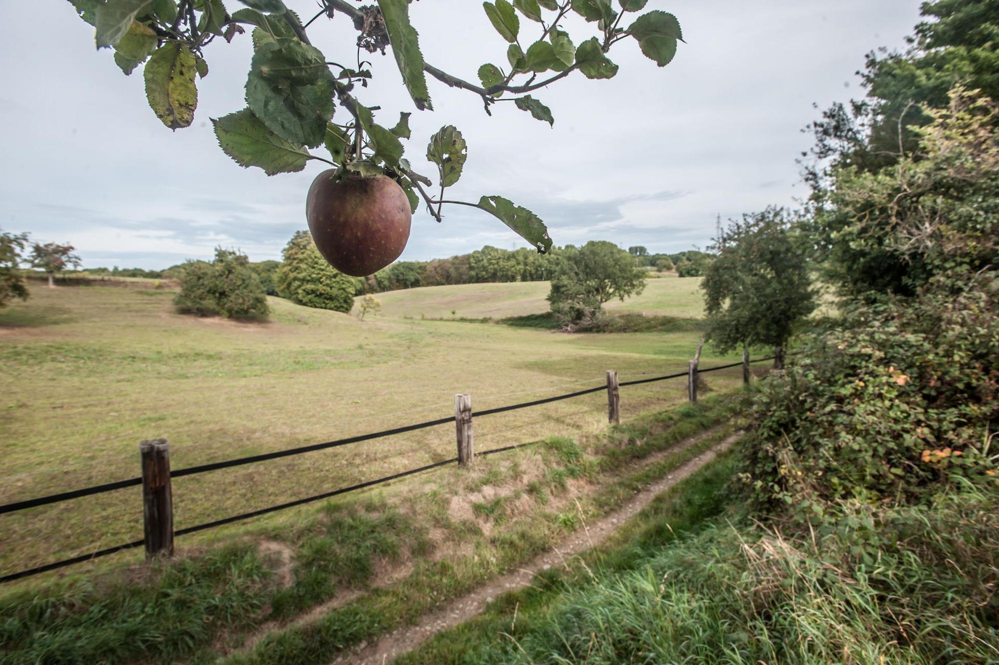 leverkusen-heimatcheck-ALF_6286