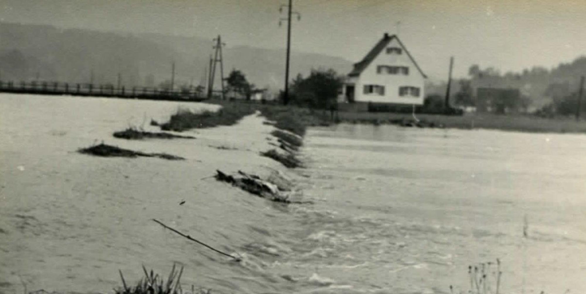 Unbenannt1