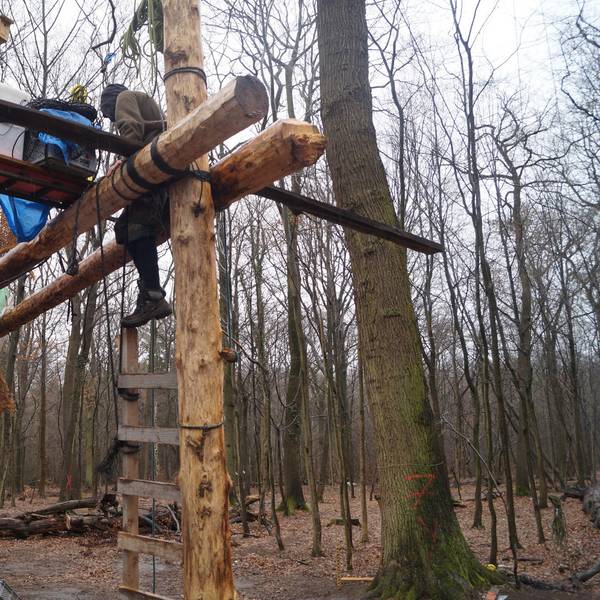 Hambacher Forst