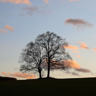 20220212-wg-Wandertag-Ommeroth-Geilenkausen-9217