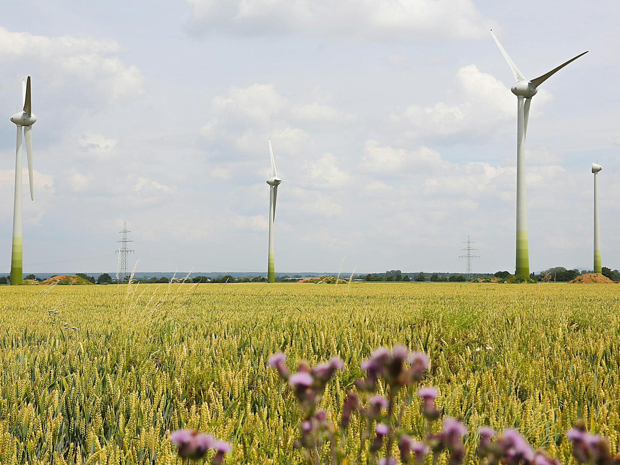 odendorf_windraeder_mbo_35a