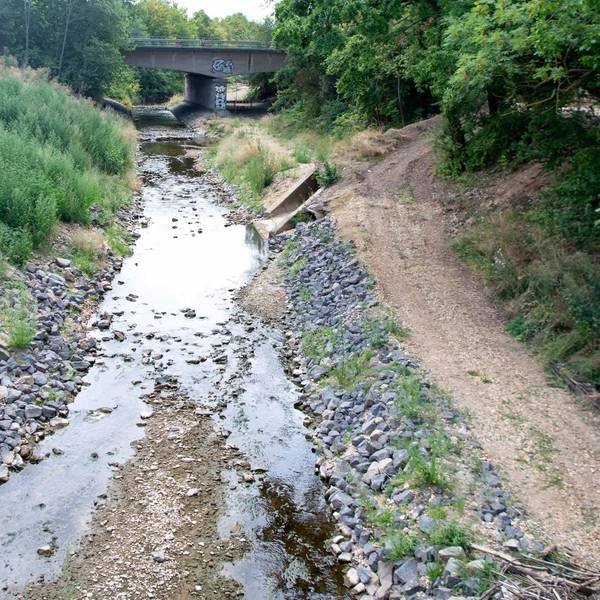 Erft bei Bliesheim