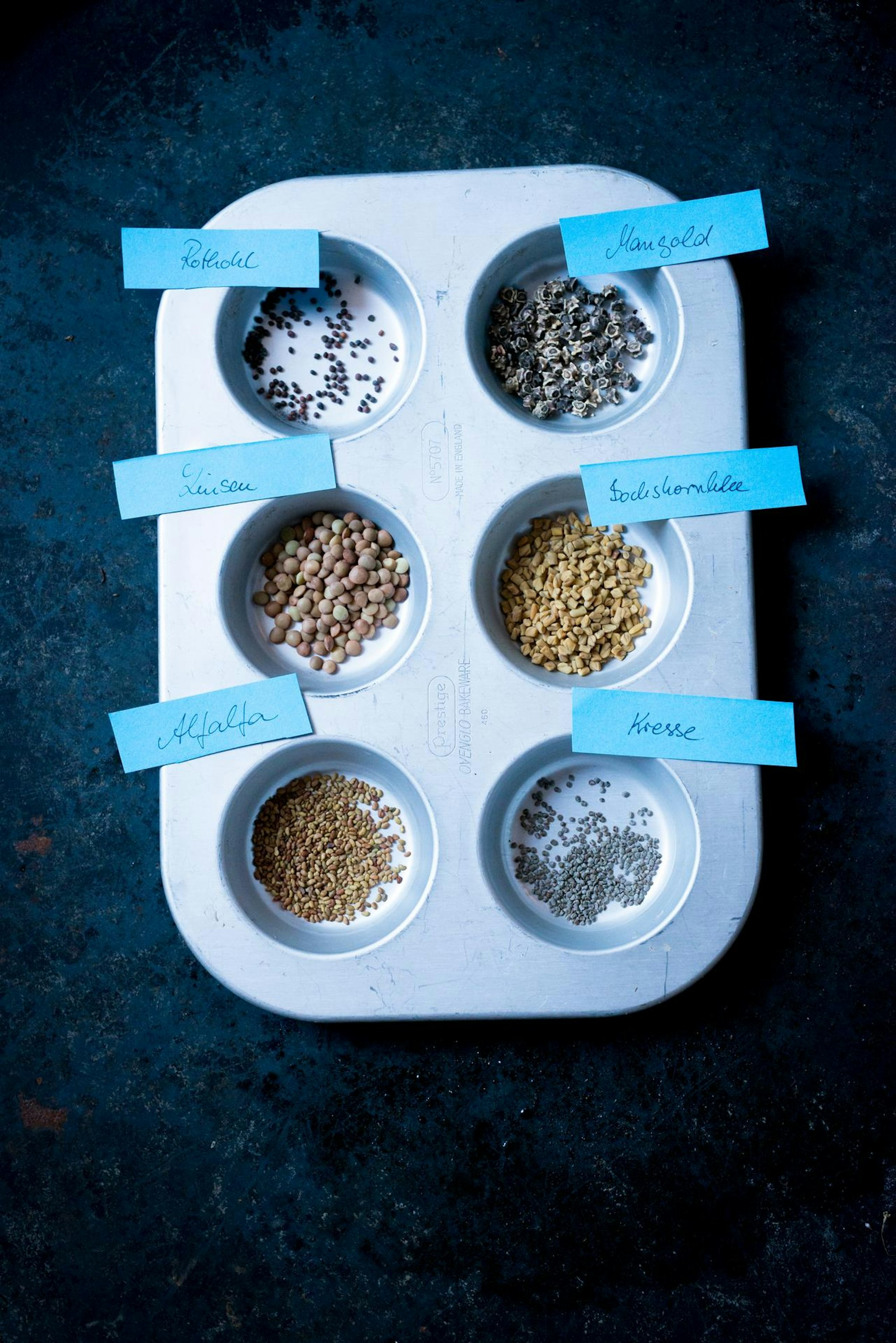 Ruether_micro-greens-kultivieren_ELA6702